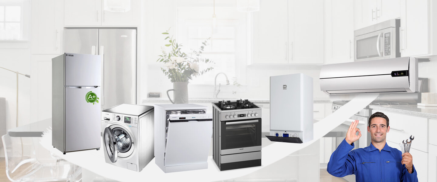 Manyas Dominox Servisi